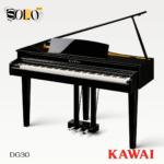 KAWAI DG30