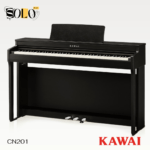 Kawai CN201