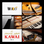 Kawai SK2 by SoloPlay